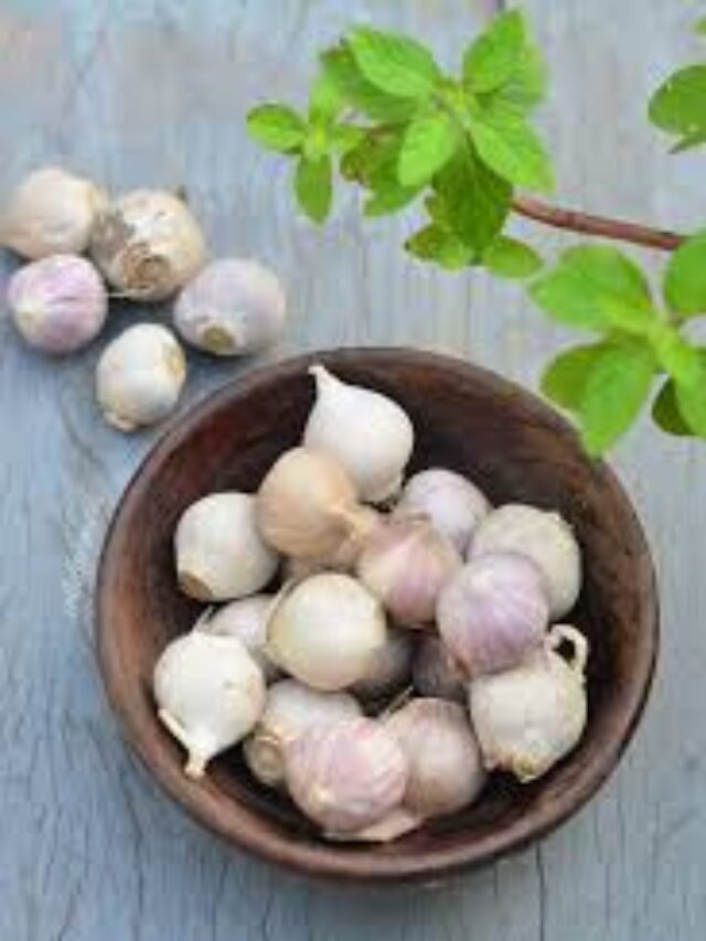 Health Benefits Of Garlic 2023